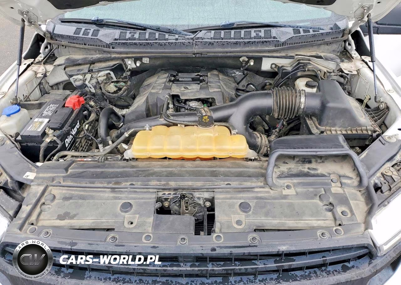 2018 Ford F150 Supercrew VIN:1FTEW1EP7JKE59015 - 11