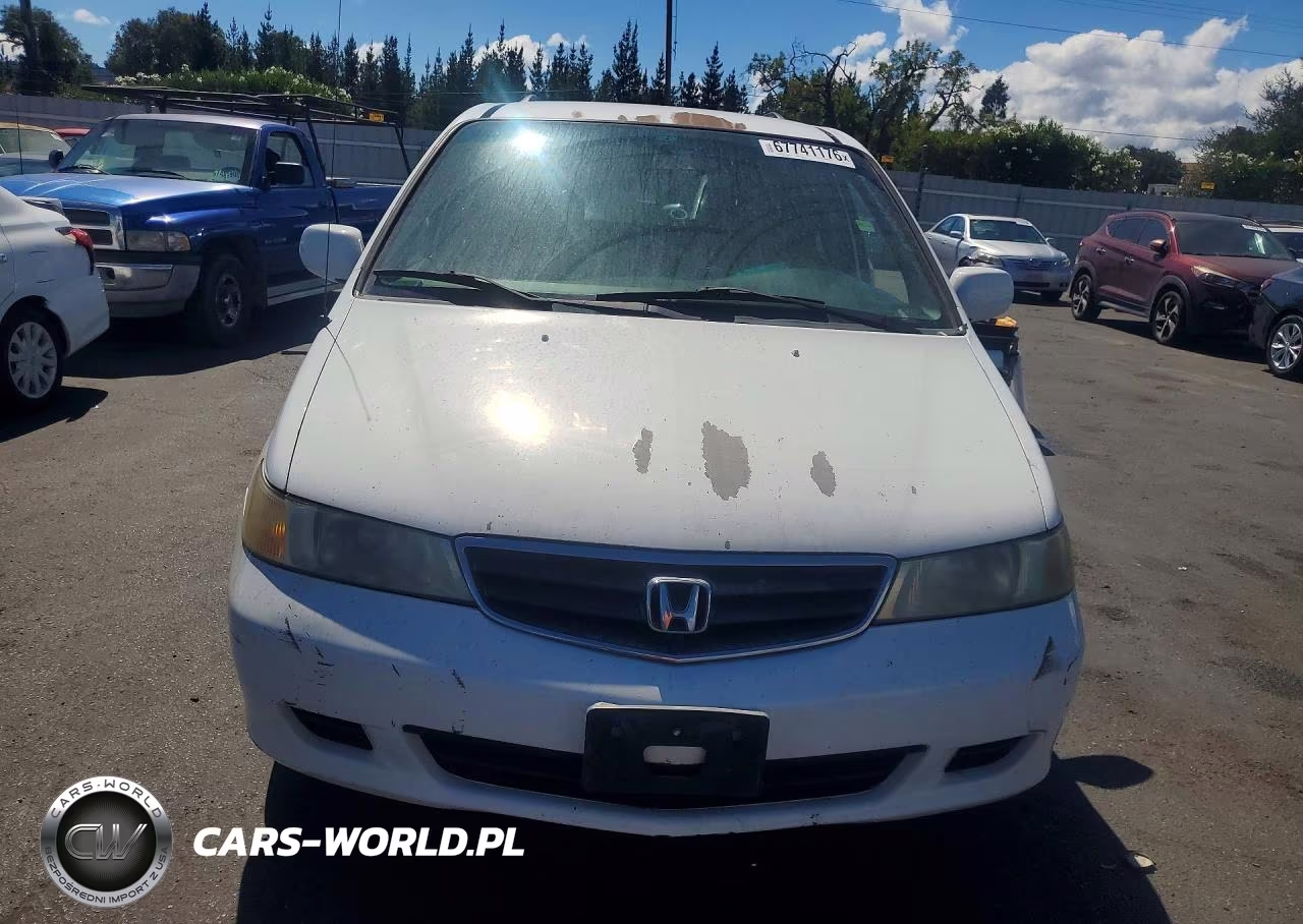 2004 Honda Odyssey Exl VIN:5FNRL18984B061370 - 5