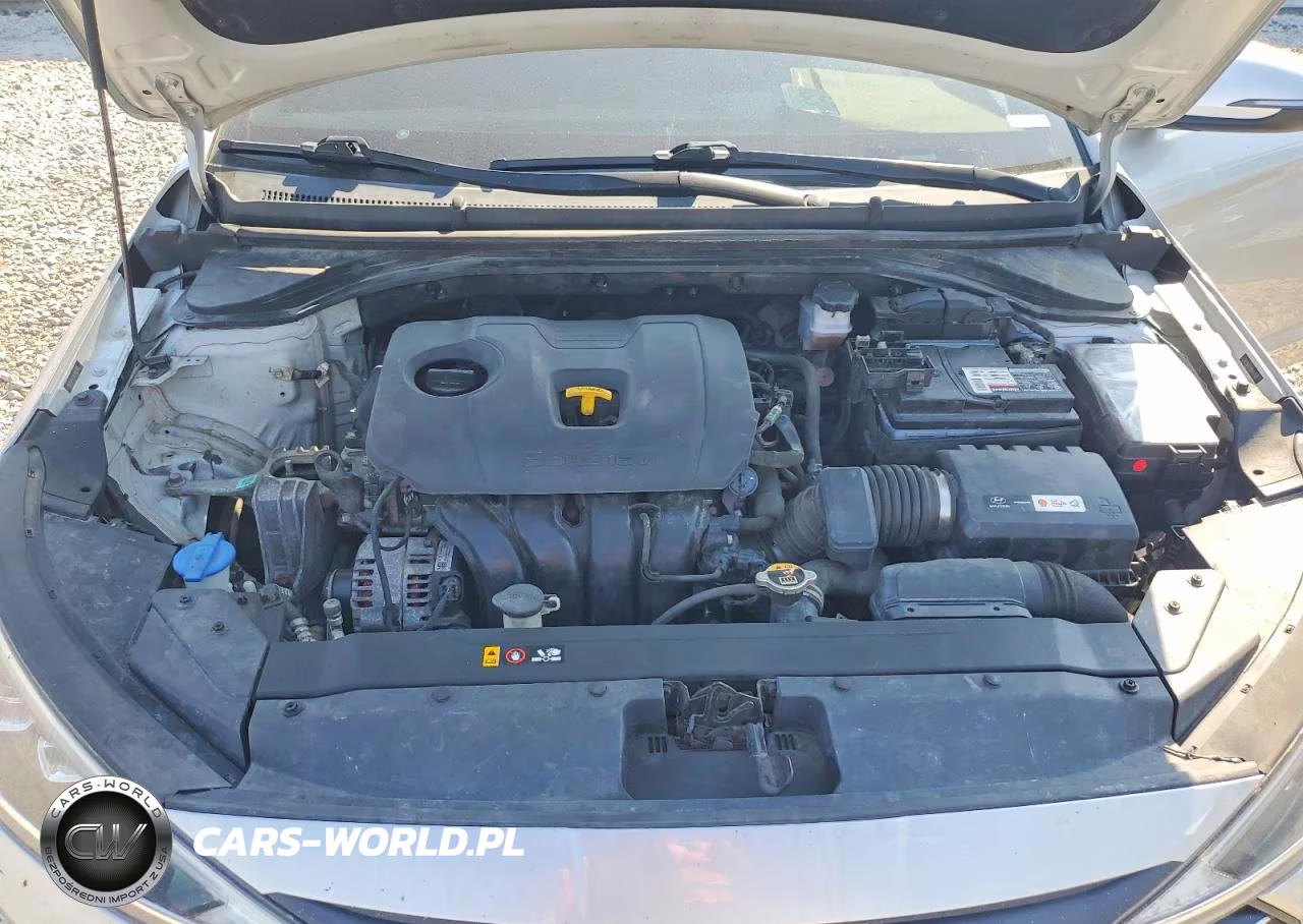 2019 Hyundai Elantra Limited VIN:5NPD84LFXKH417522 - 11
