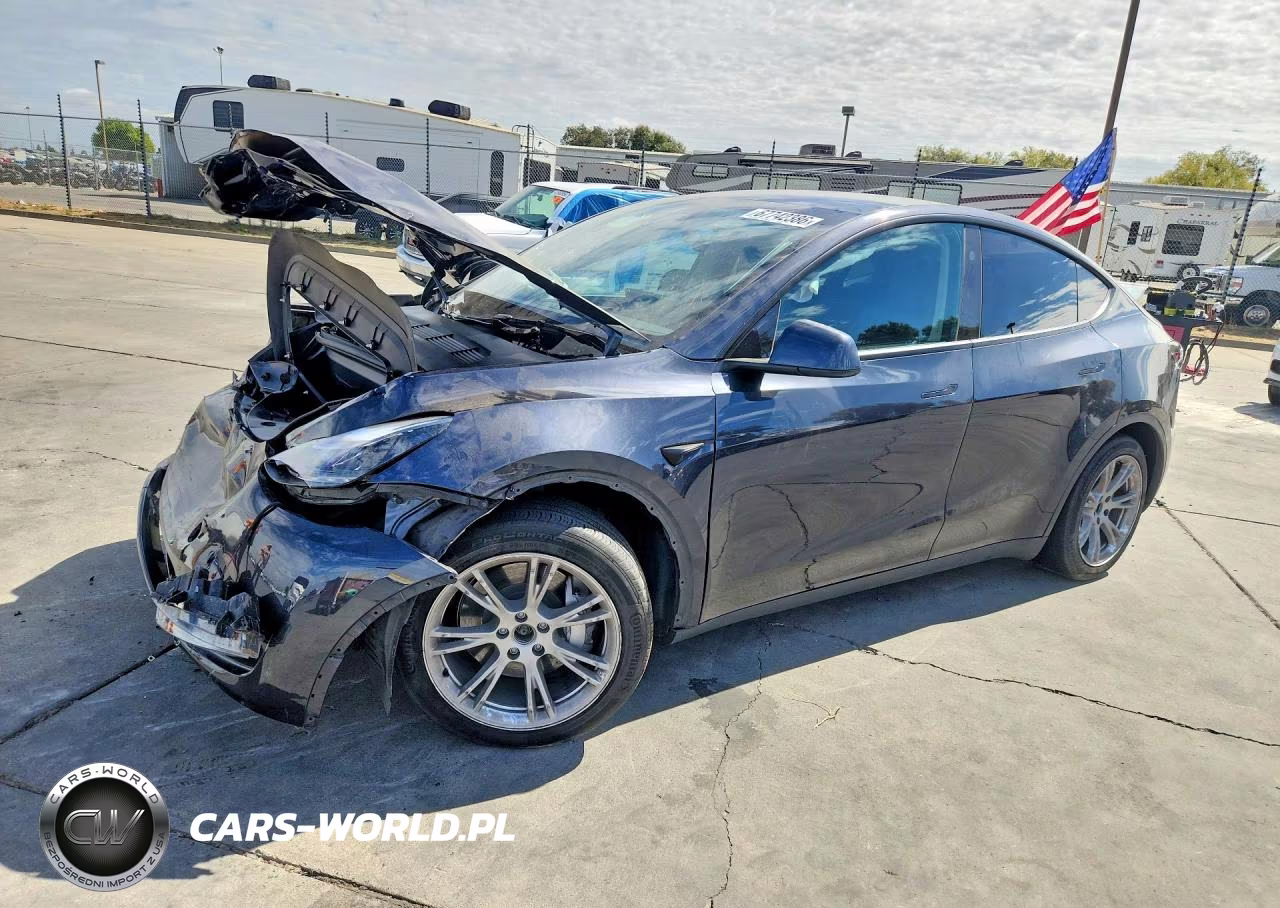 2024 Tesla Model Y VIN:7SAYGAEEXRF010965 - 1