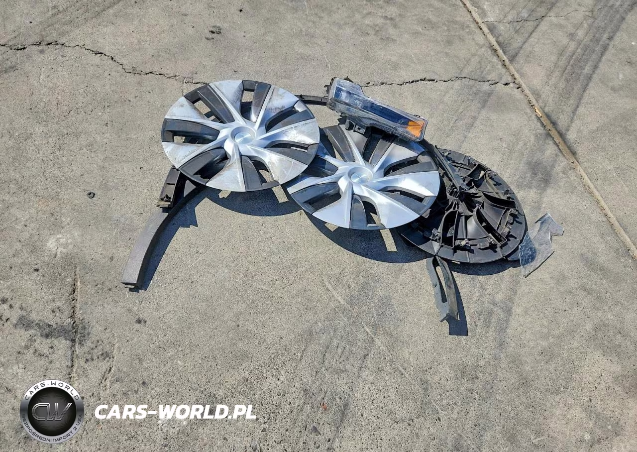 2024 Tesla Model Y VIN:7SAYGAEEXRF010965 - 12