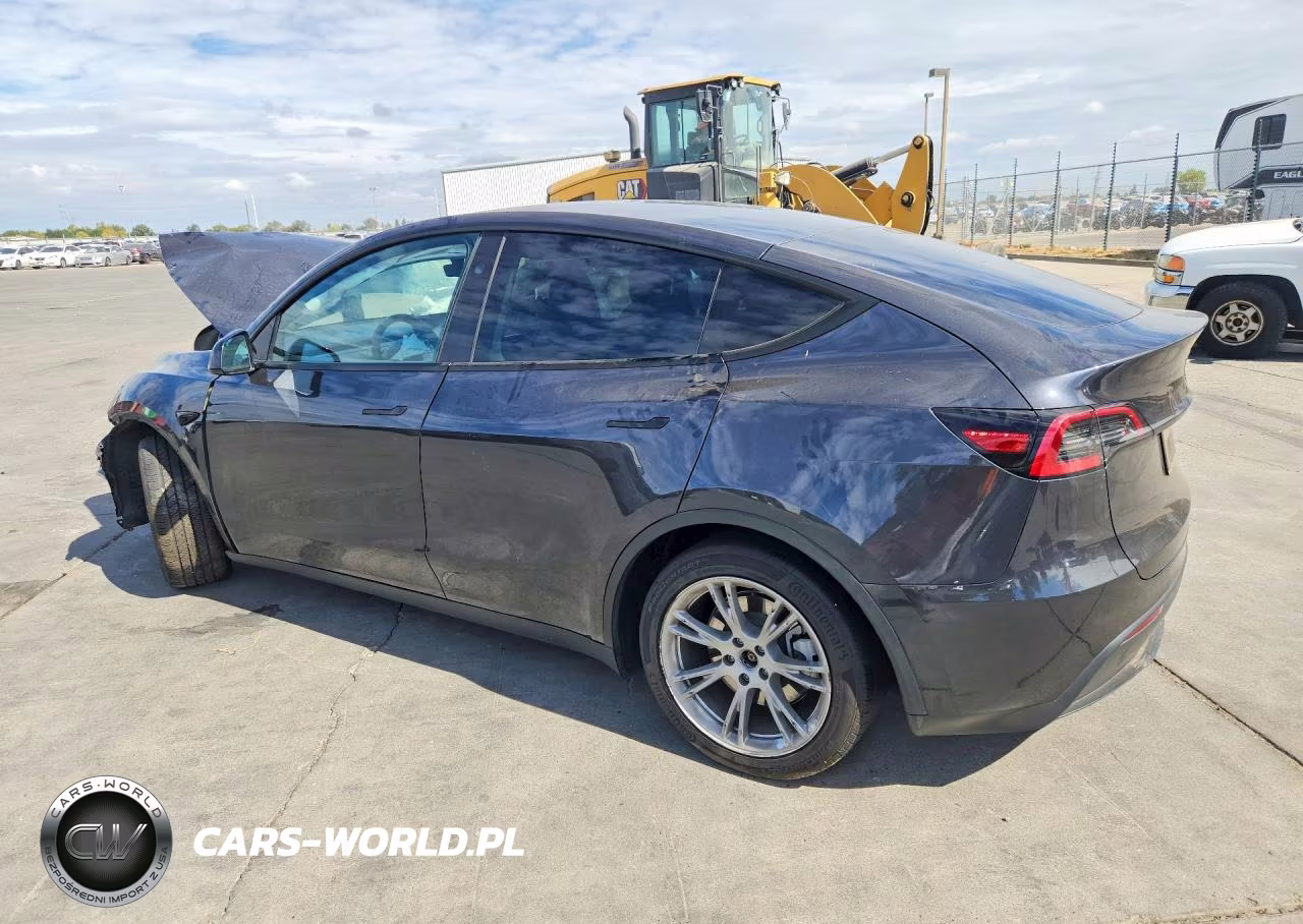 2024 Tesla Model Y VIN:7SAYGAEEXRF010965 - 2