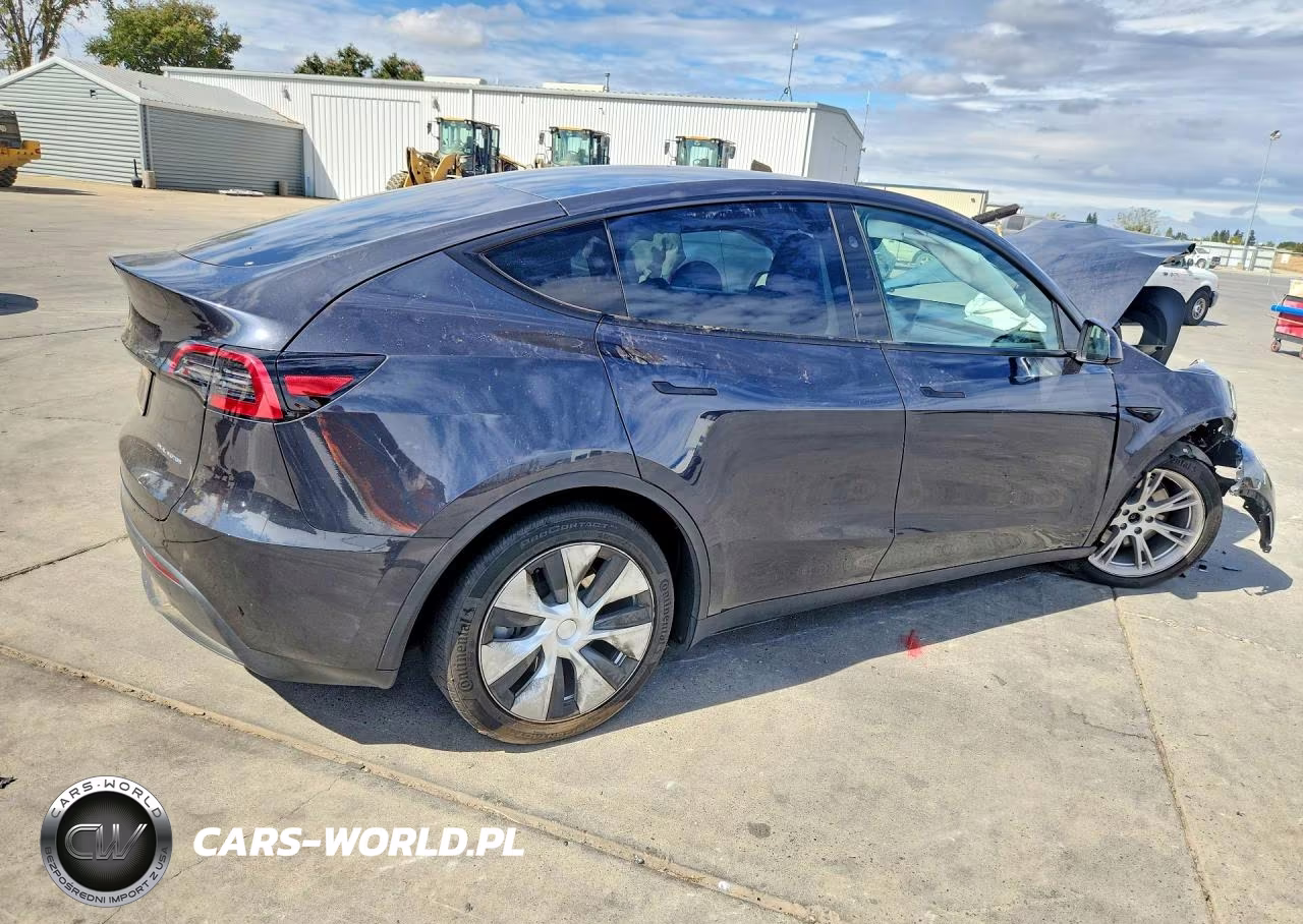 2024 Tesla Model Y VIN:7SAYGAEEXRF010965 - 3