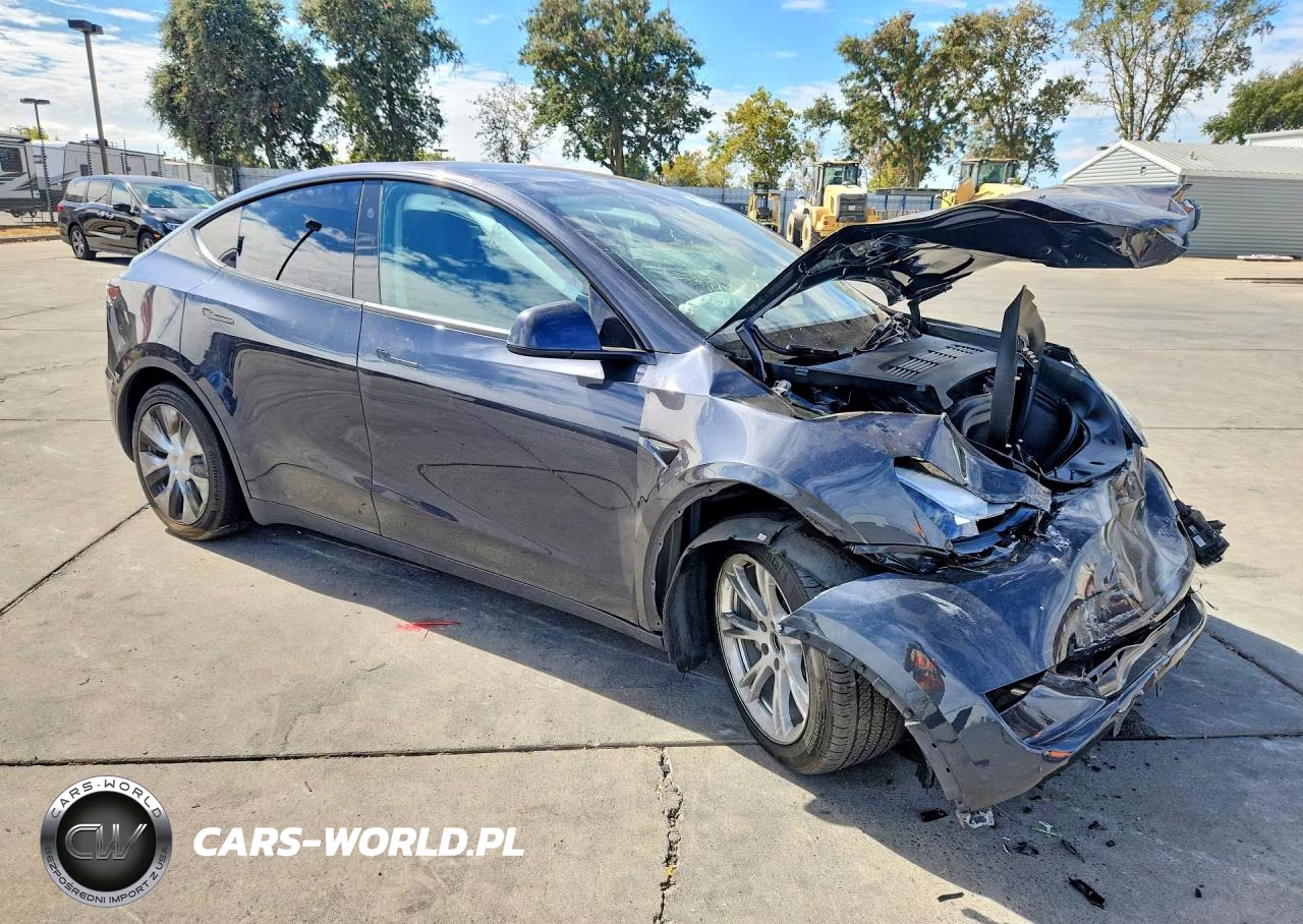 2024 Tesla Model Y VIN:7SAYGAEEXRF010965 - 4