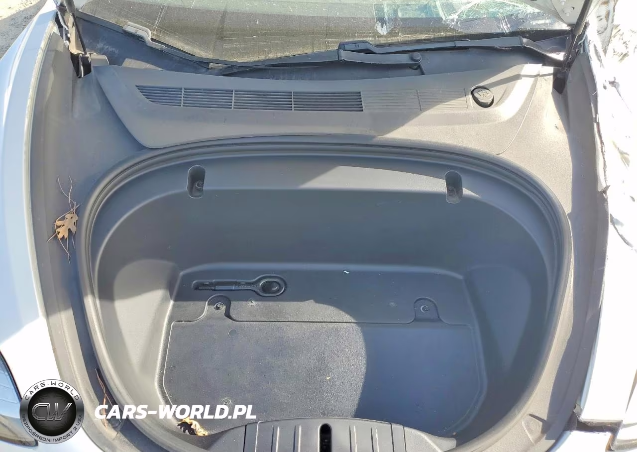 2020 Tesla Model 3 VIN:5YJ3E1ECXLF742936 - 11