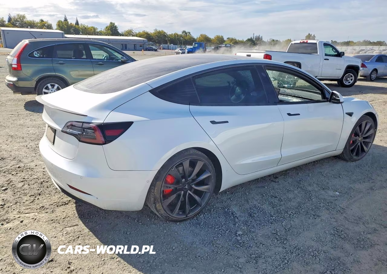2020 Tesla Model 3 VIN:5YJ3E1ECXLF742936 - 3