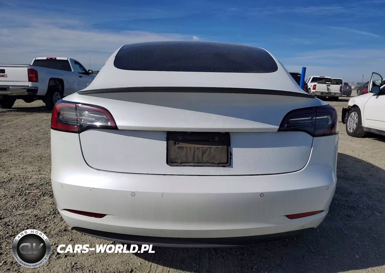 2020 Tesla Model 3 VIN:5YJ3E1ECXLF742936 - 6