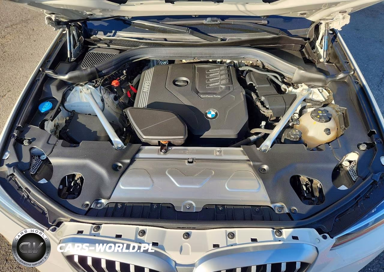 2023 BMW X3 xDrive30I VIN:5UX53DP07P9S63987 - 12