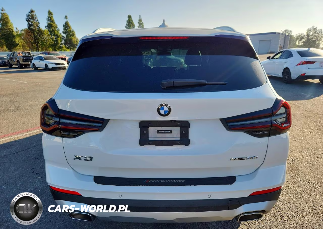 2023 BMW X3 xDrive30I VIN:5UX53DP07P9S63987 - 6