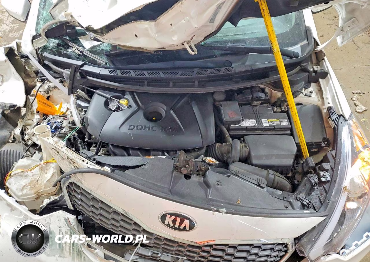 2016 Kia Forte Lx VIN:KNAFK4A64G5457838 - 11