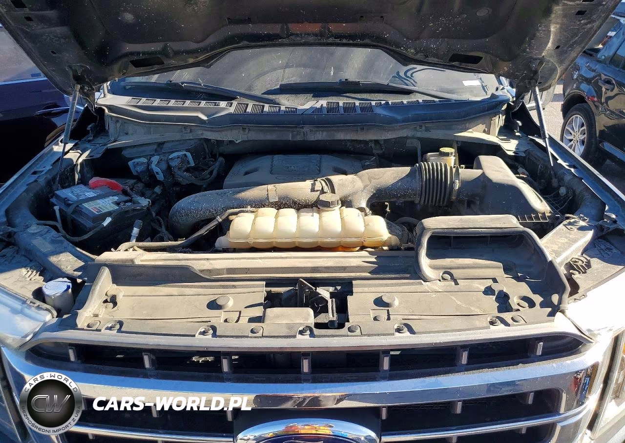 2021 Ford F150 Supercrew VIN:1FTFW1E81MFB49257 - 11