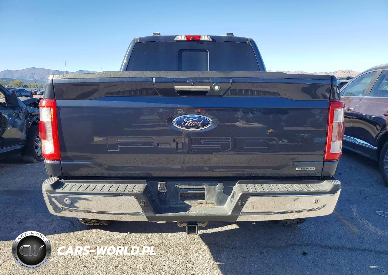 2021 Ford F150 Supercrew VIN:1FTFW1E81MFB49257 - 6
