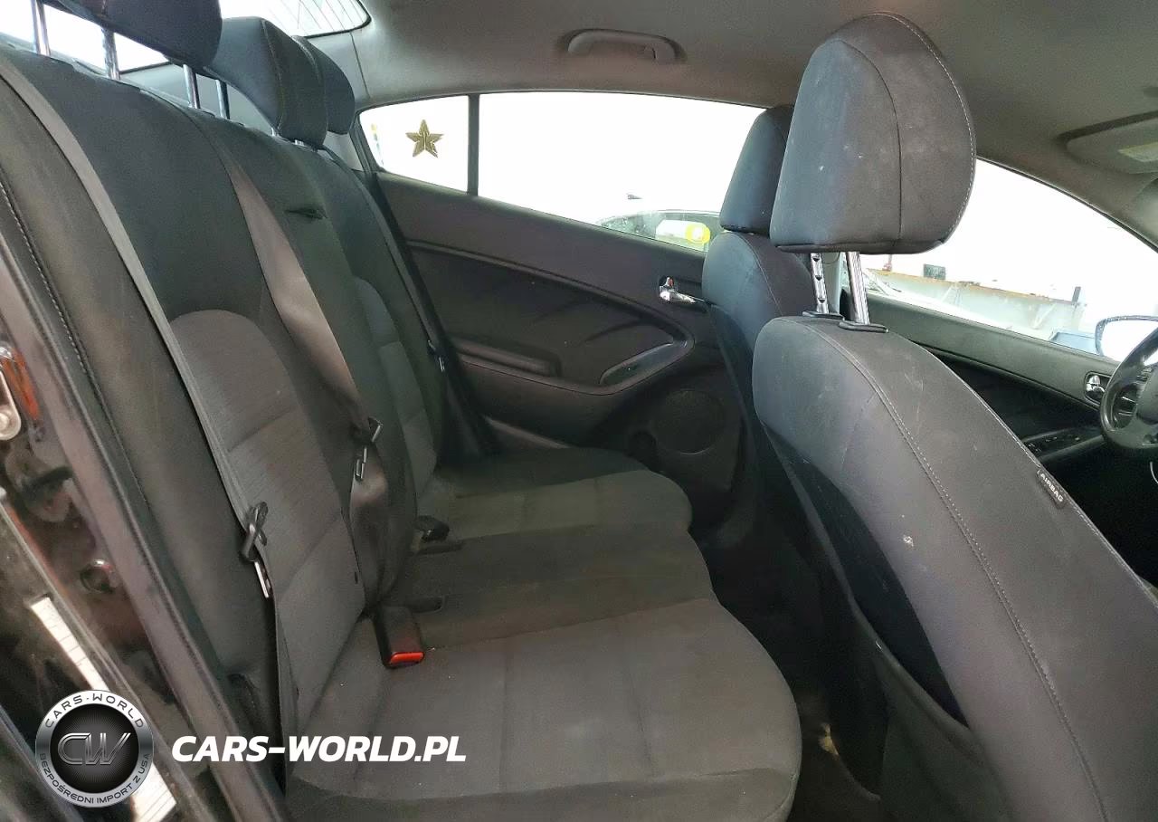 2014 Kia Forte Lx VIN:KNAFX4A62E5204077 - 10
