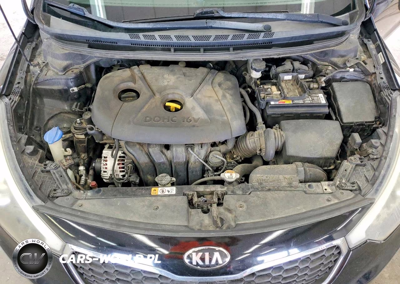 2014 Kia Forte Lx VIN:KNAFX4A62E5204077 - 11