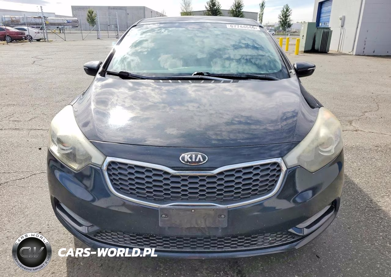 2014 Kia Forte Lx VIN:KNAFX4A62E5204077 - 5