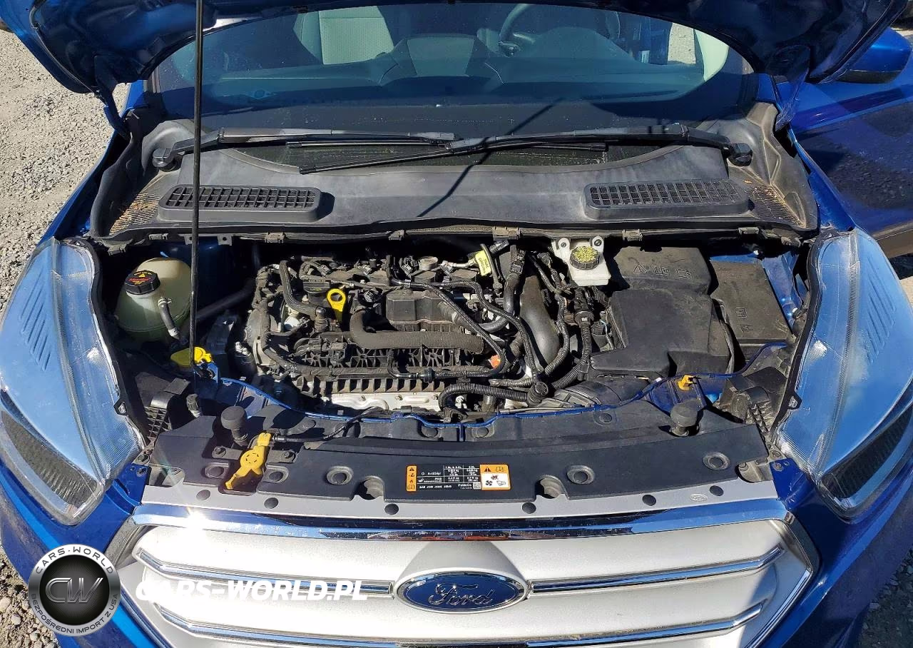 2019 Ford Escape Se VIN:1FMCU0GD1KUA55056 - 12