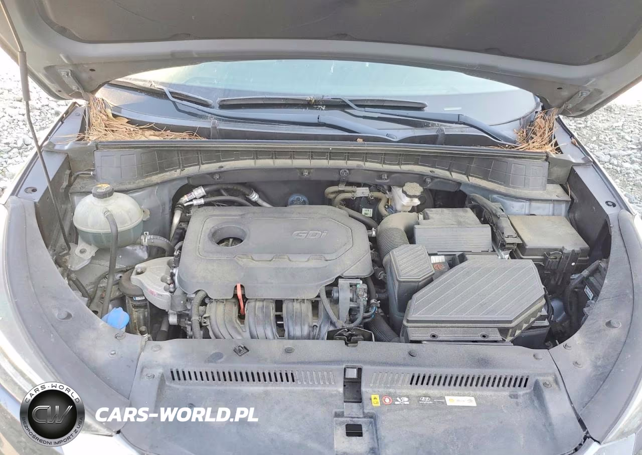 2019 Hyundai Tucson Sel VIN:KM8J33AL6KU005197 - 12