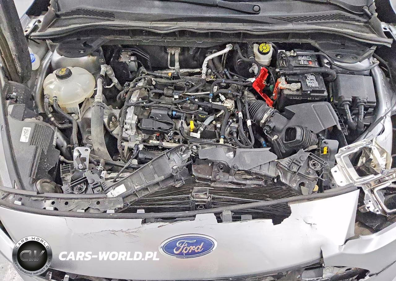 2021 Ford Escape Se VIN:1FMCU0G6XMUA96970 - 12