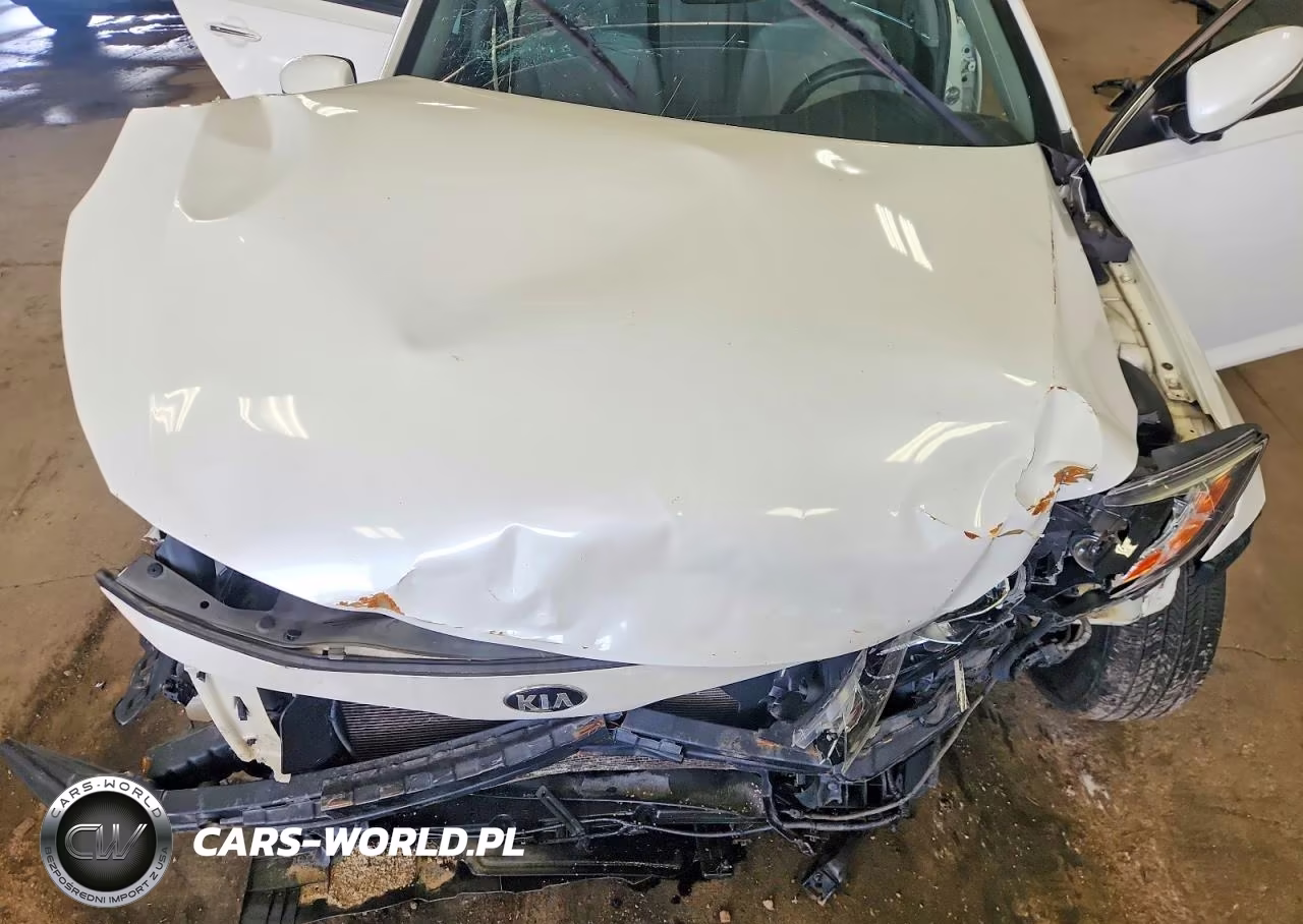 2015 Kia Optima Lx VIN:KNAGM4A7XF5601396 - 11