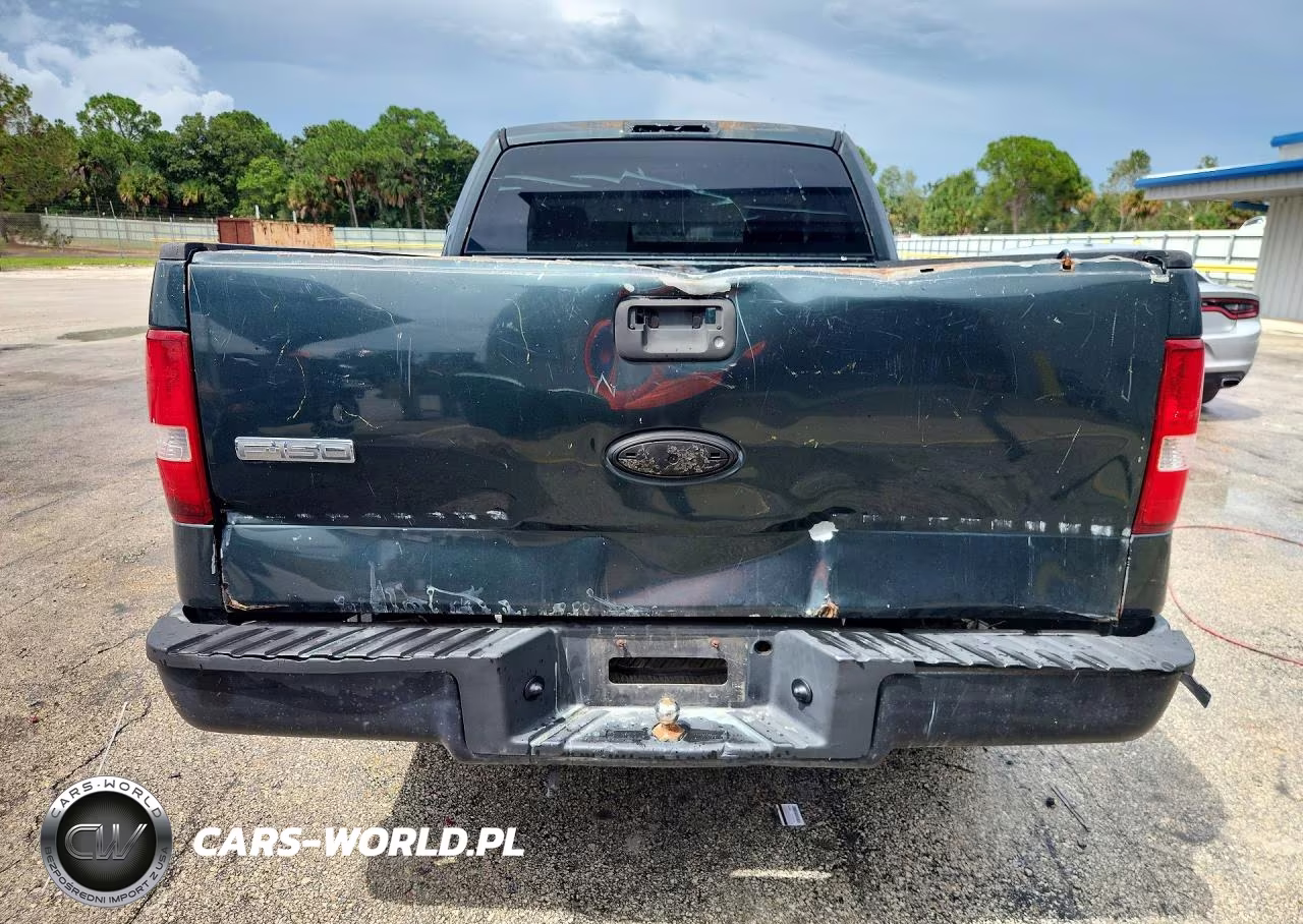 2006 Ford F150 VIN:1FTRF12266NB71499 - 6