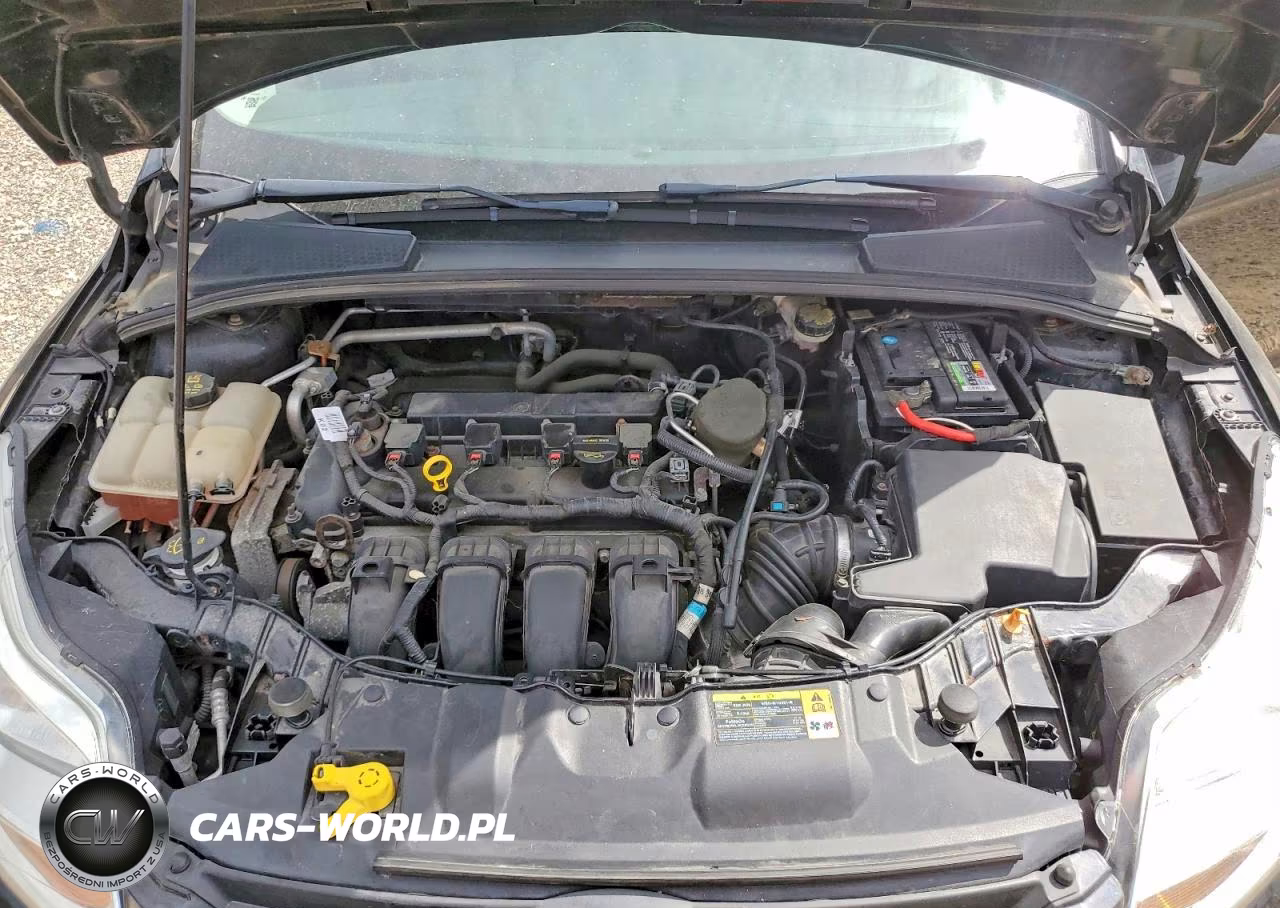 2014 Ford Focus Se VIN:1FADP3K23EL136275 - 11