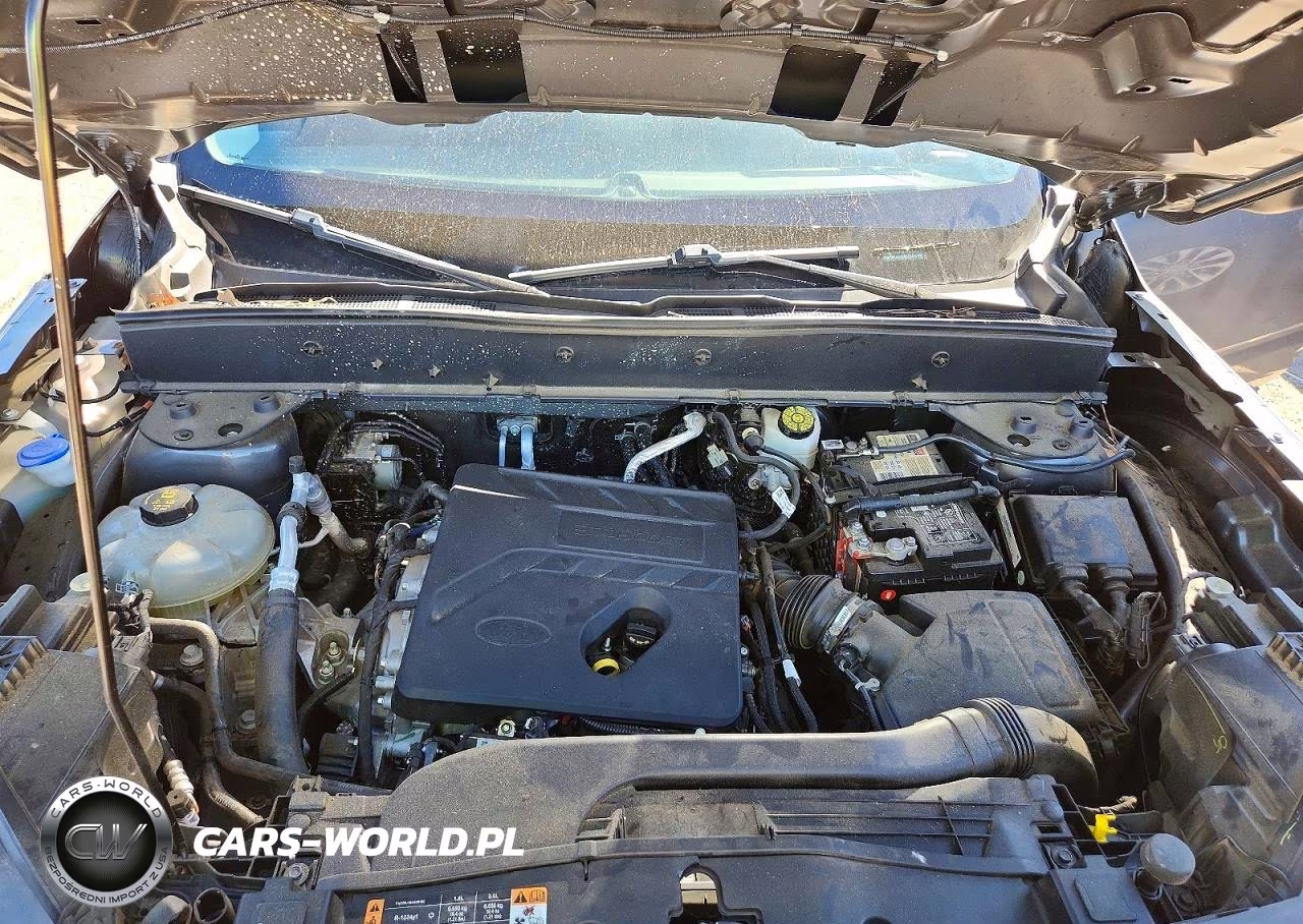 2021 Ford Bronco Sport VIN:3FMCR9A68MRA58403 - 12