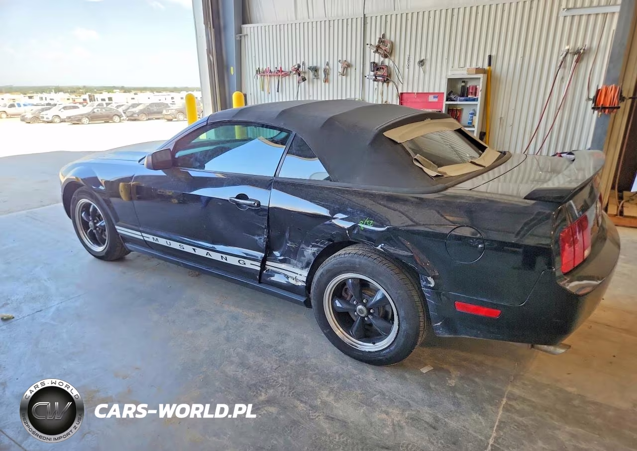 2006 Ford Mustang VIN:1ZVFT84N665120254 - 2