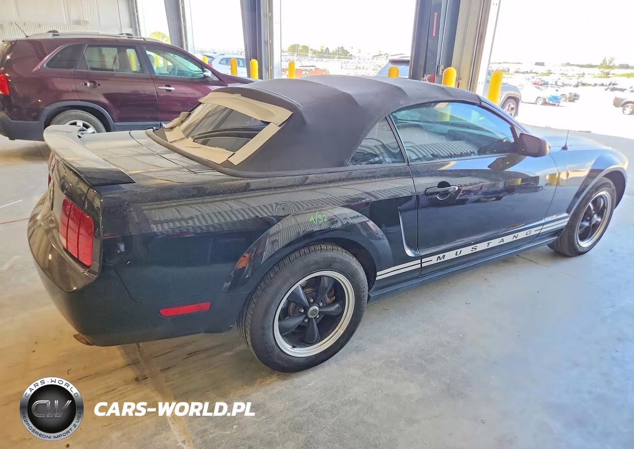 2006 Ford Mustang VIN:1ZVFT84N665120254 - 3