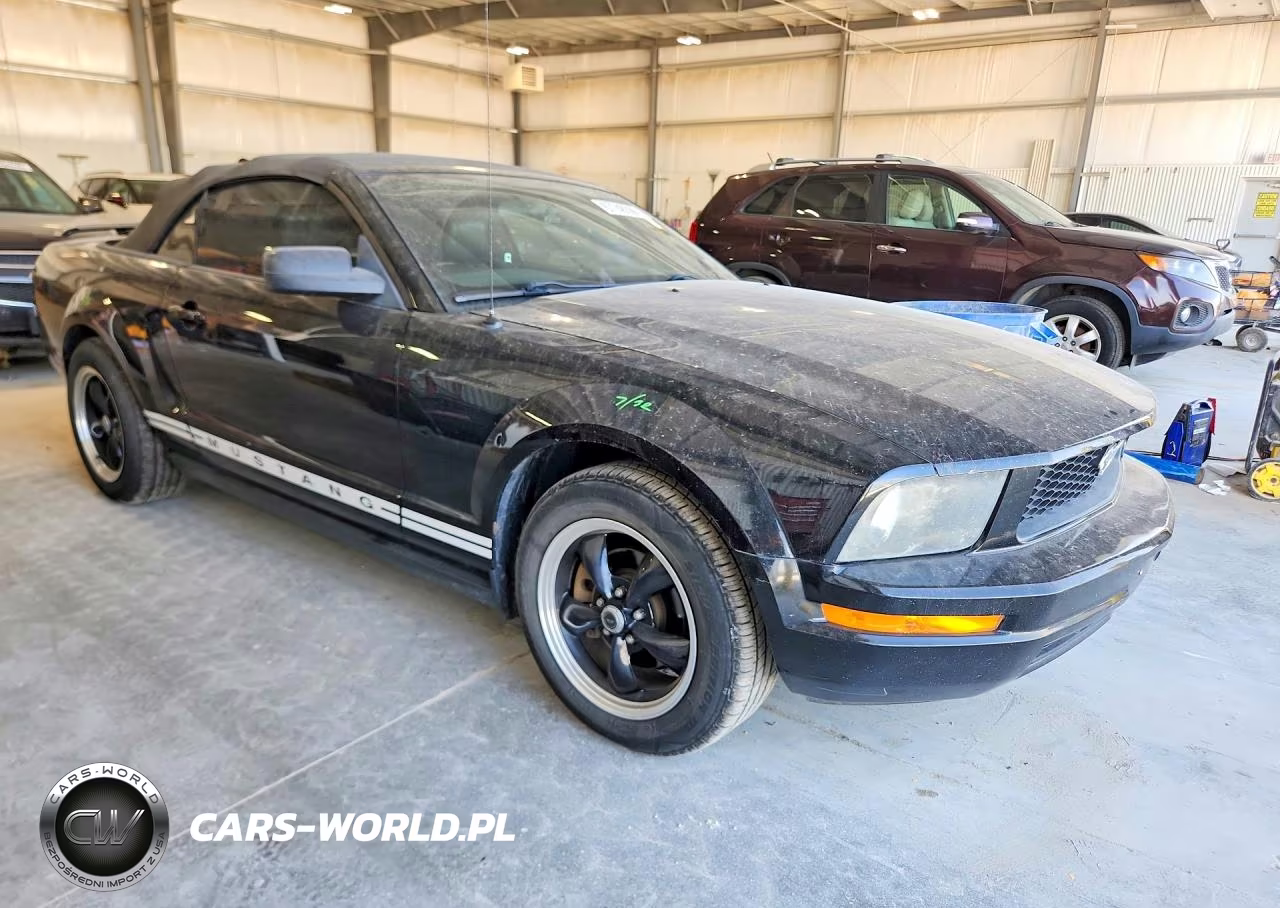 2006 Ford Mustang VIN:1ZVFT84N665120254 - 4
