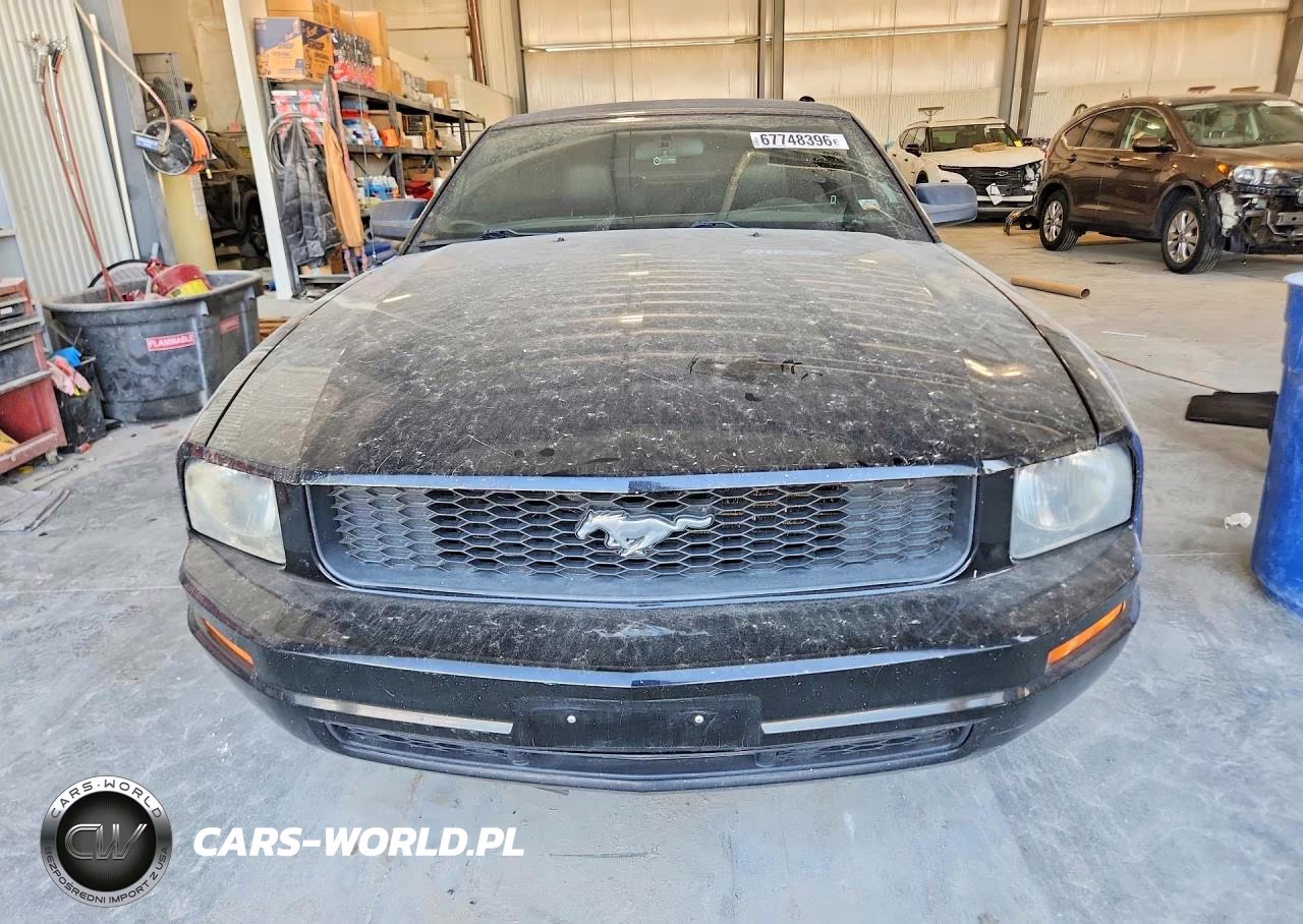 2006 Ford Mustang VIN:1ZVFT84N665120254 - 5