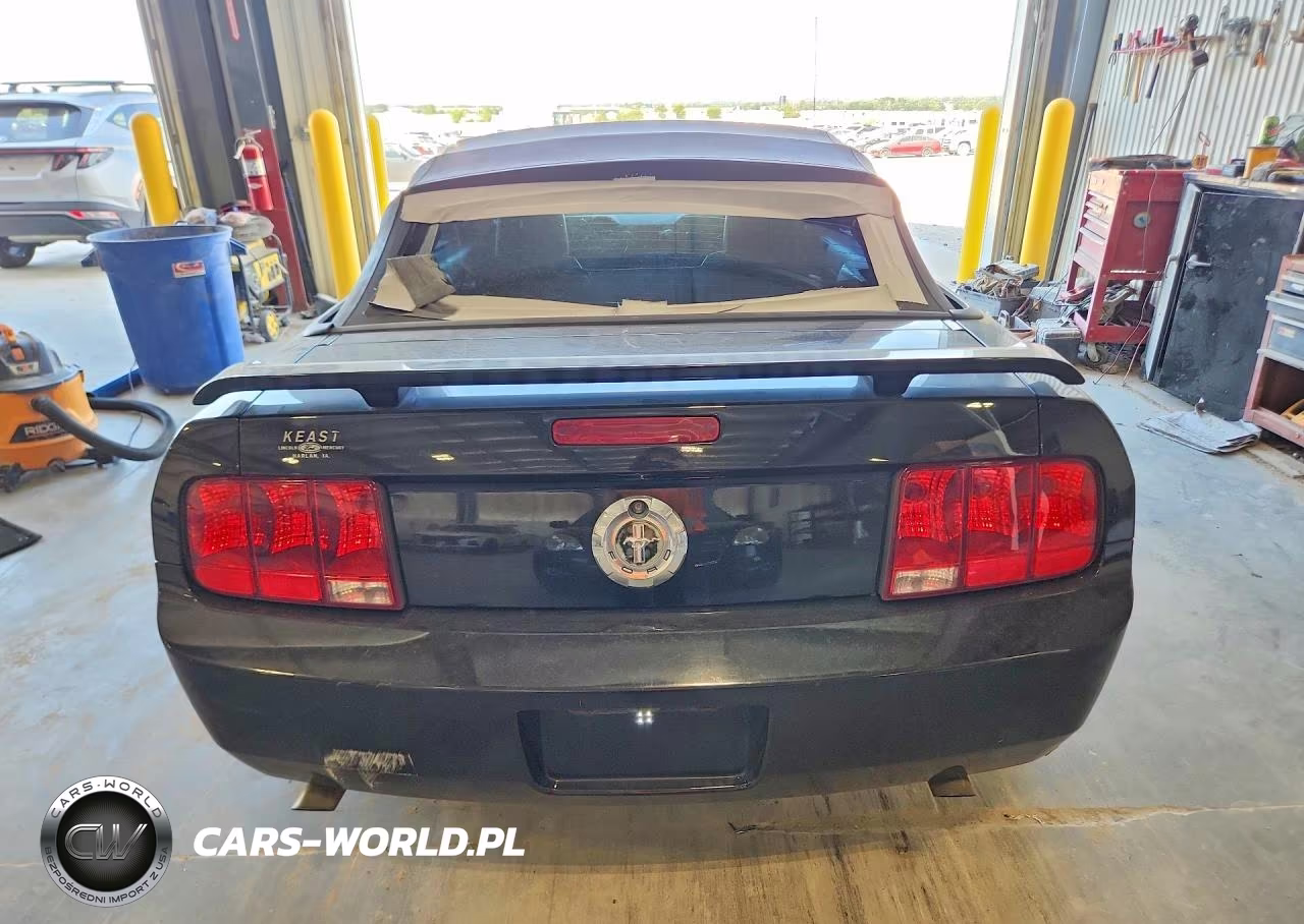 2006 Ford Mustang VIN:1ZVFT84N665120254 - 6