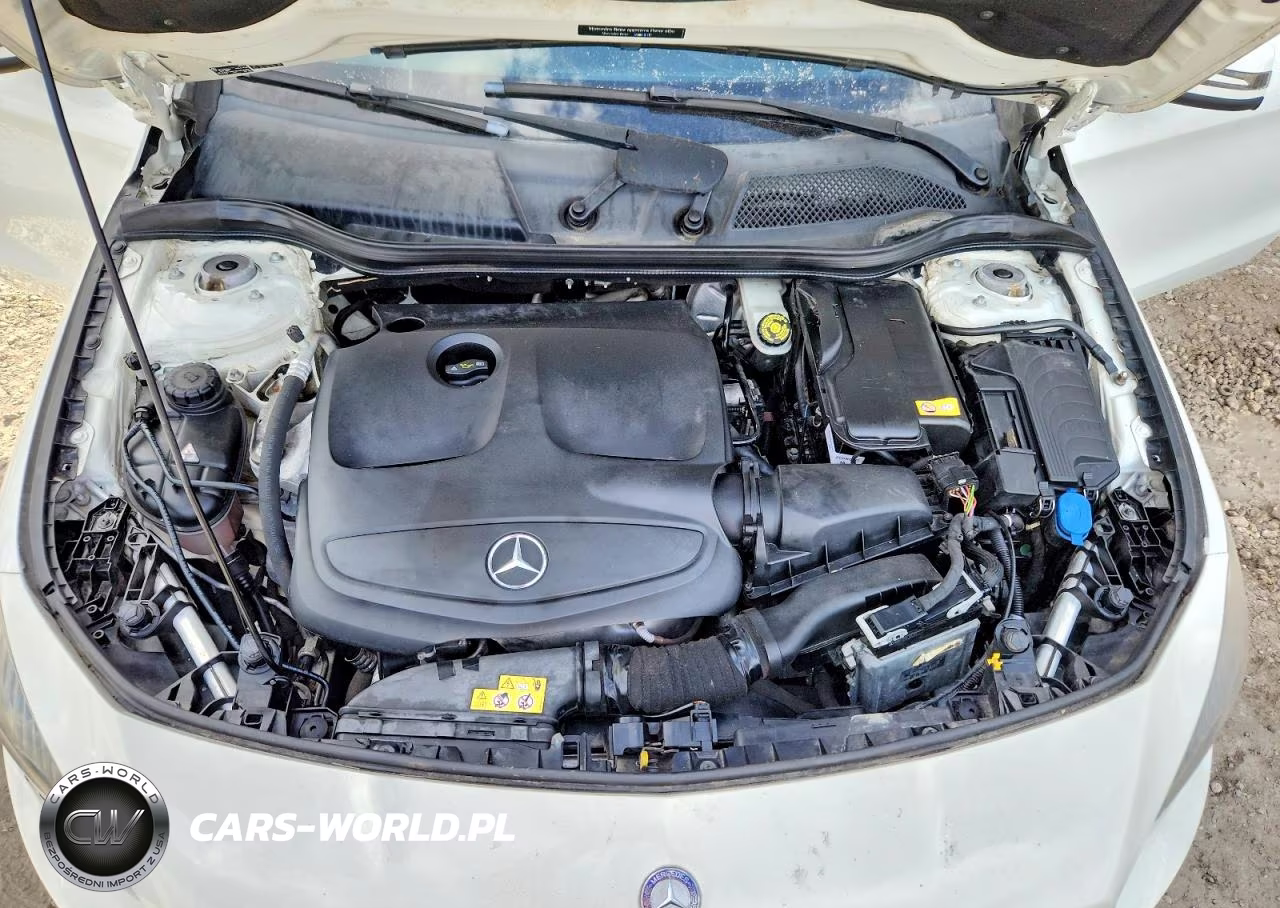 2016 Mercedes-Benz Cla 250 VIN:WDDSJ4EB9GN354724 - 11