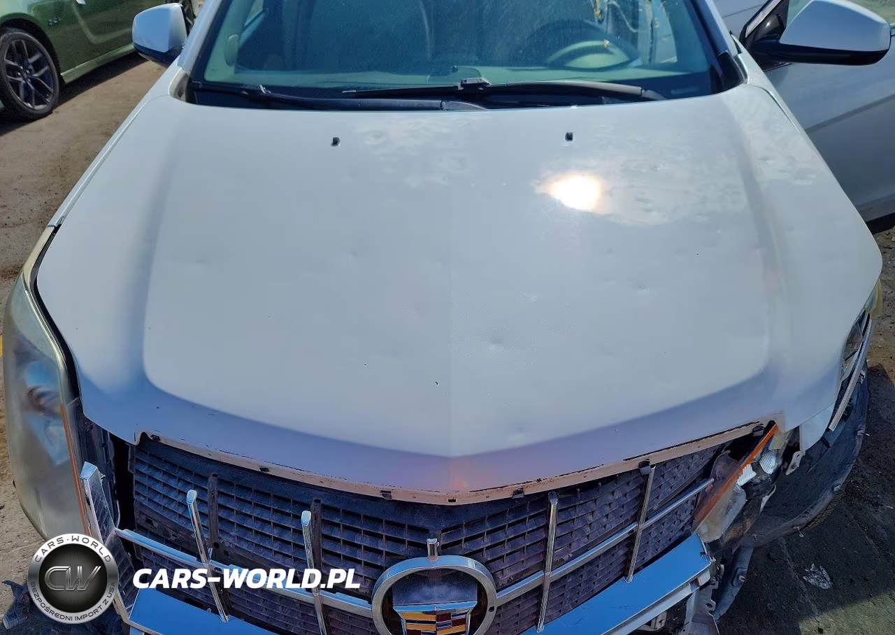 2011 CADILLAC SRX PERFORMANCE COLLECTION VIN:3GYFNBEY7BS516352 - 11
