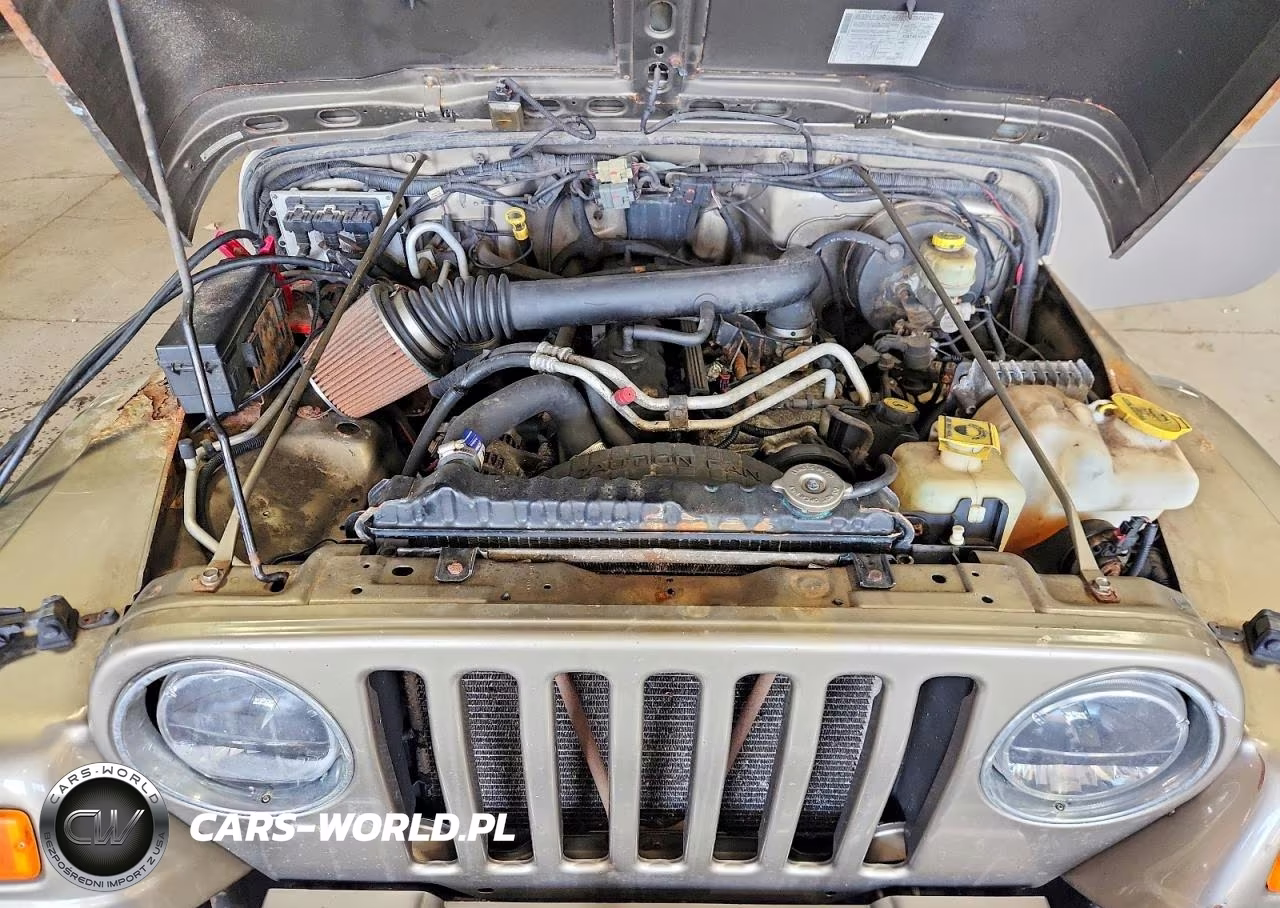 2004 Jeep Wrangler X VIN:1J4FA39S94P744247 - 11