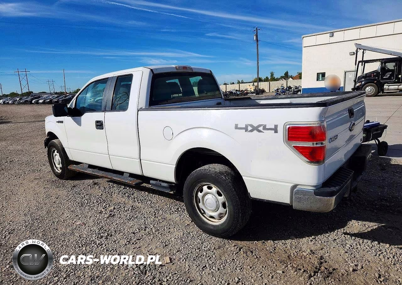 2010 Ford F150 Super Cab VIN:1FTFX1EV3AFC63100 - 2