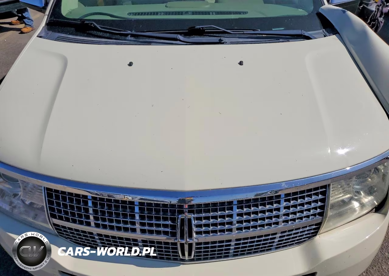 2007 Lincoln Mkx VIN:2LMDU88C07BJ25396 - 12