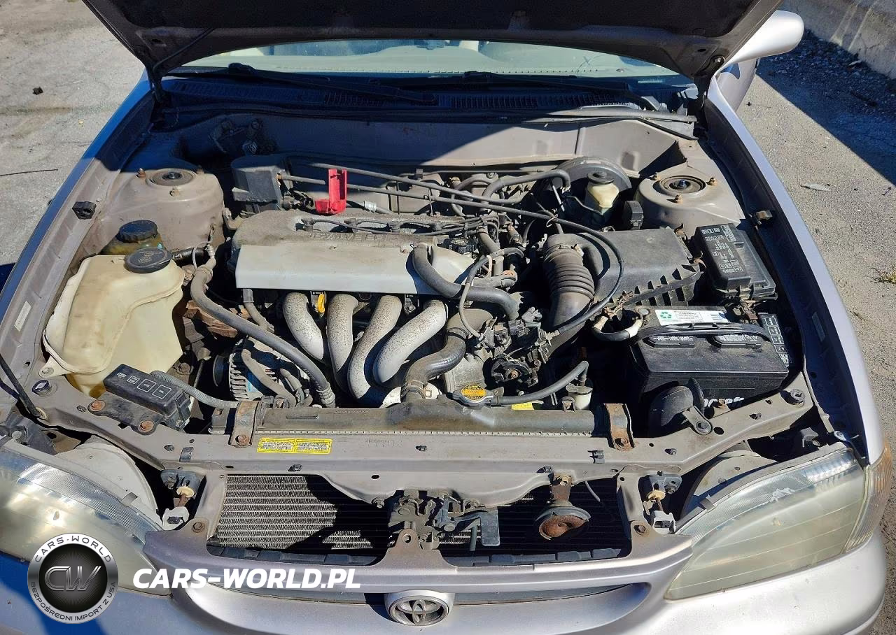 1998 Toyota Corolla Ve VIN:2T1BR18E9WC013560 - 11