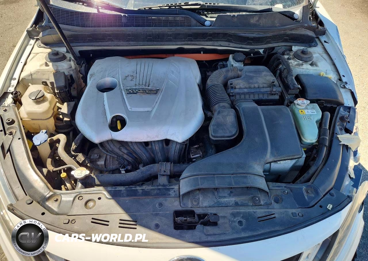 2013 Kia Optima Hybrid VIN:KNAGM4ADXD5038658 - 11
