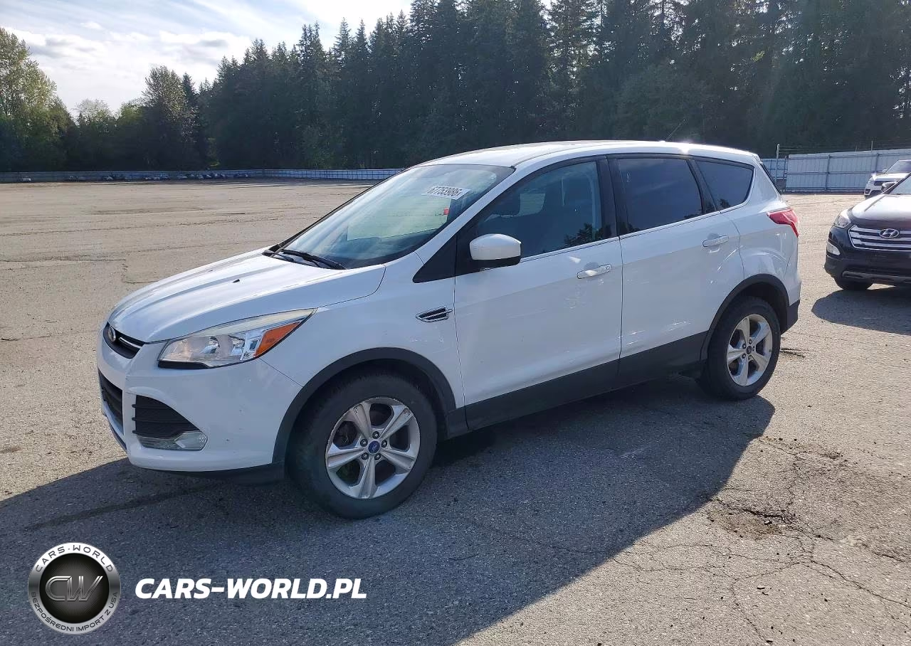 2013 Ford Escape Se