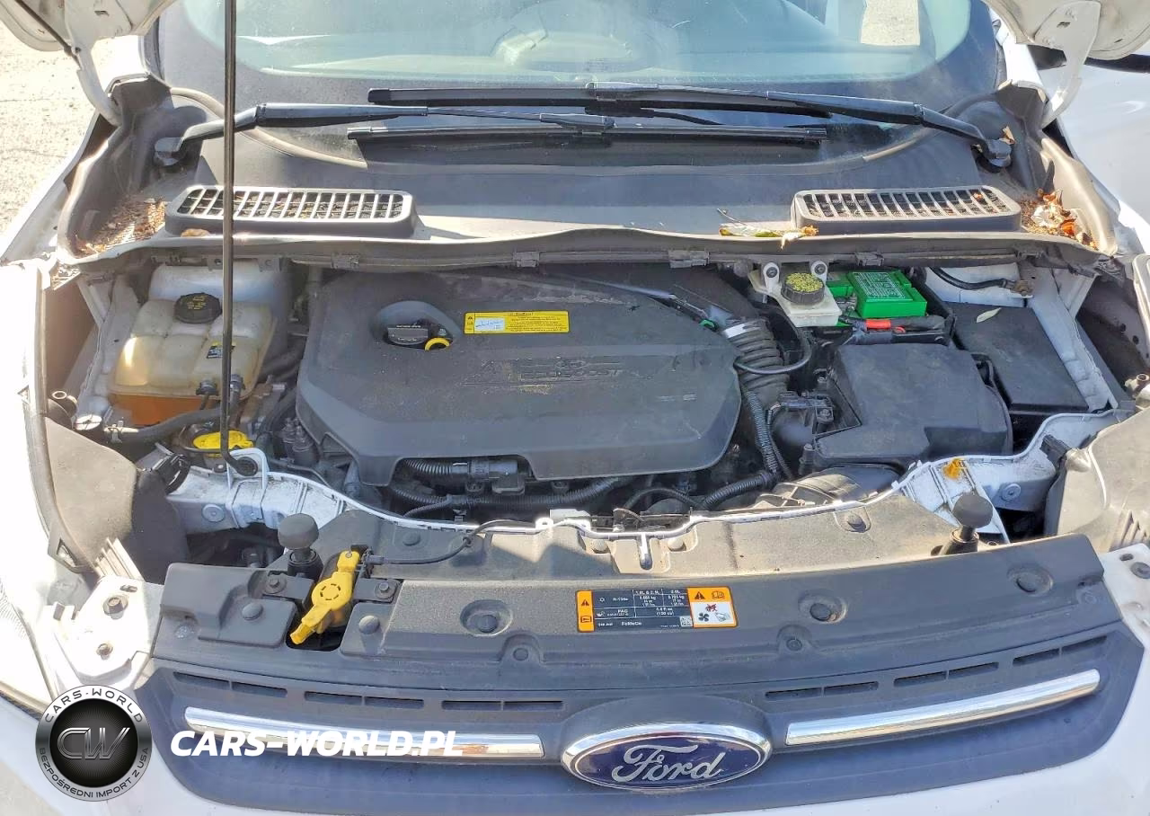 2013 Ford Escape Se VIN:1FMCU0GX2DUC47051 - 12