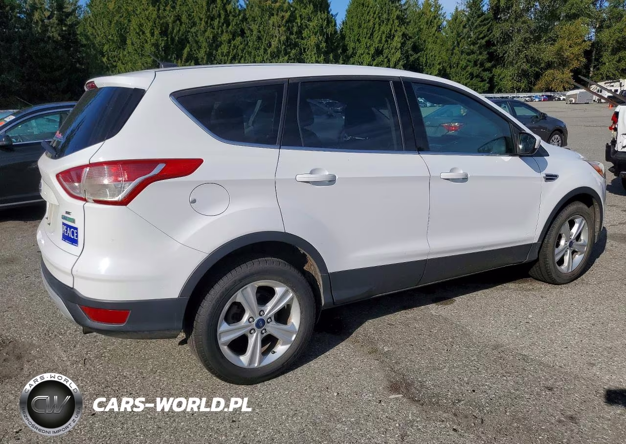 2013 Ford Escape Se VIN:1FMCU0GX2DUC47051 - 3