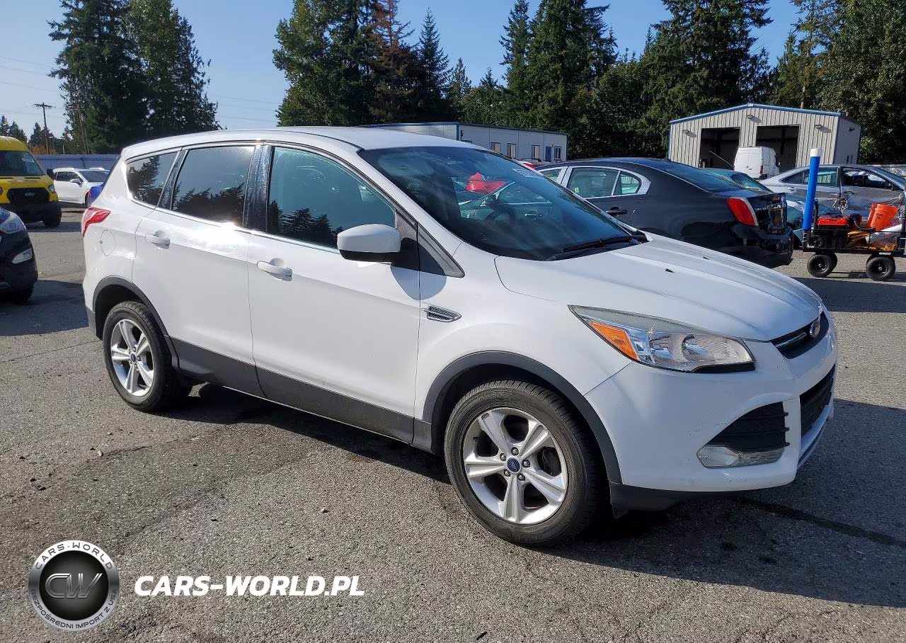 2013 Ford Escape Se VIN:1FMCU0GX2DUC47051 - 4