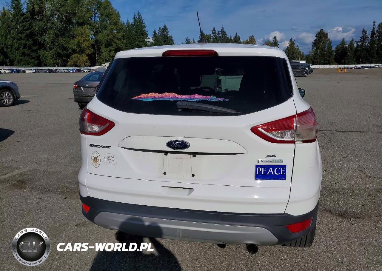 2013 Ford Escape Se VIN:1FMCU0GX2DUC47051 - 6