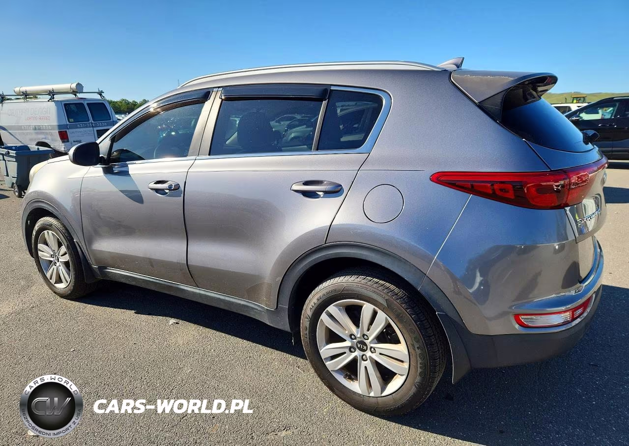 2019 Kia Sportage Lx VIN:KNDPM3AC7K7559620 - 2