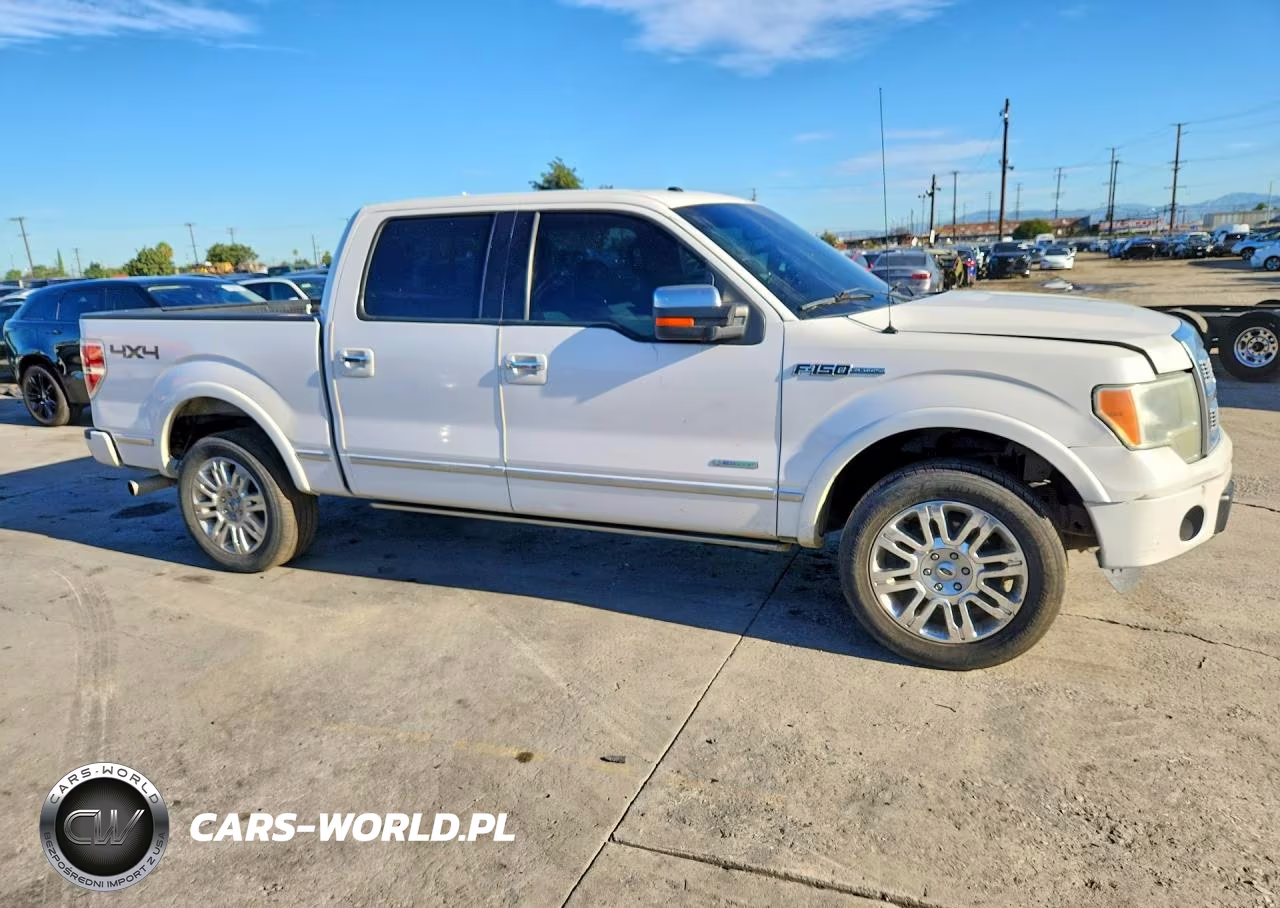 2011 Ford F-150 Platinum VIN:1FTFW1ET4BFB33328 - 4