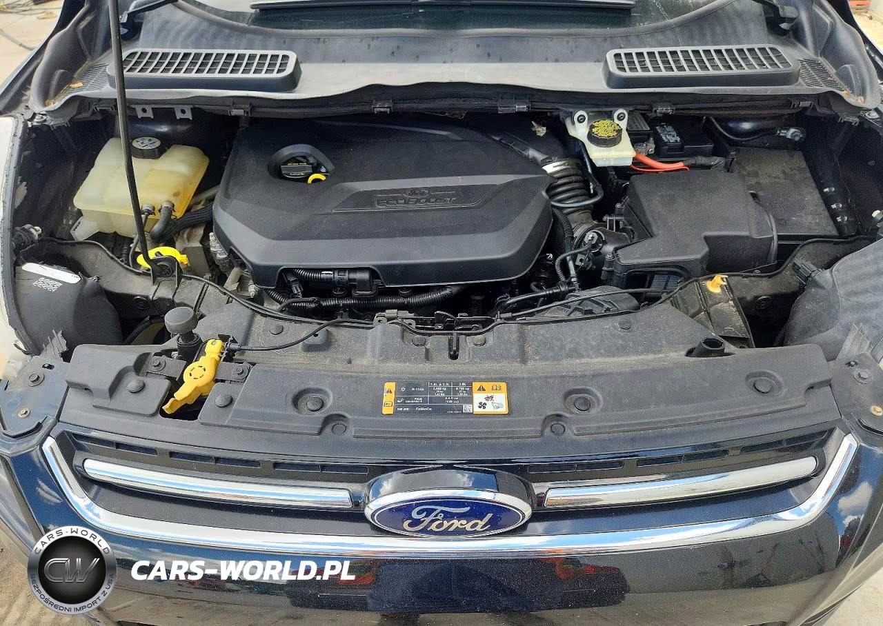 2014 Ford Escape Titanium VIN:1FMCU0JXXEUD66931 - 12