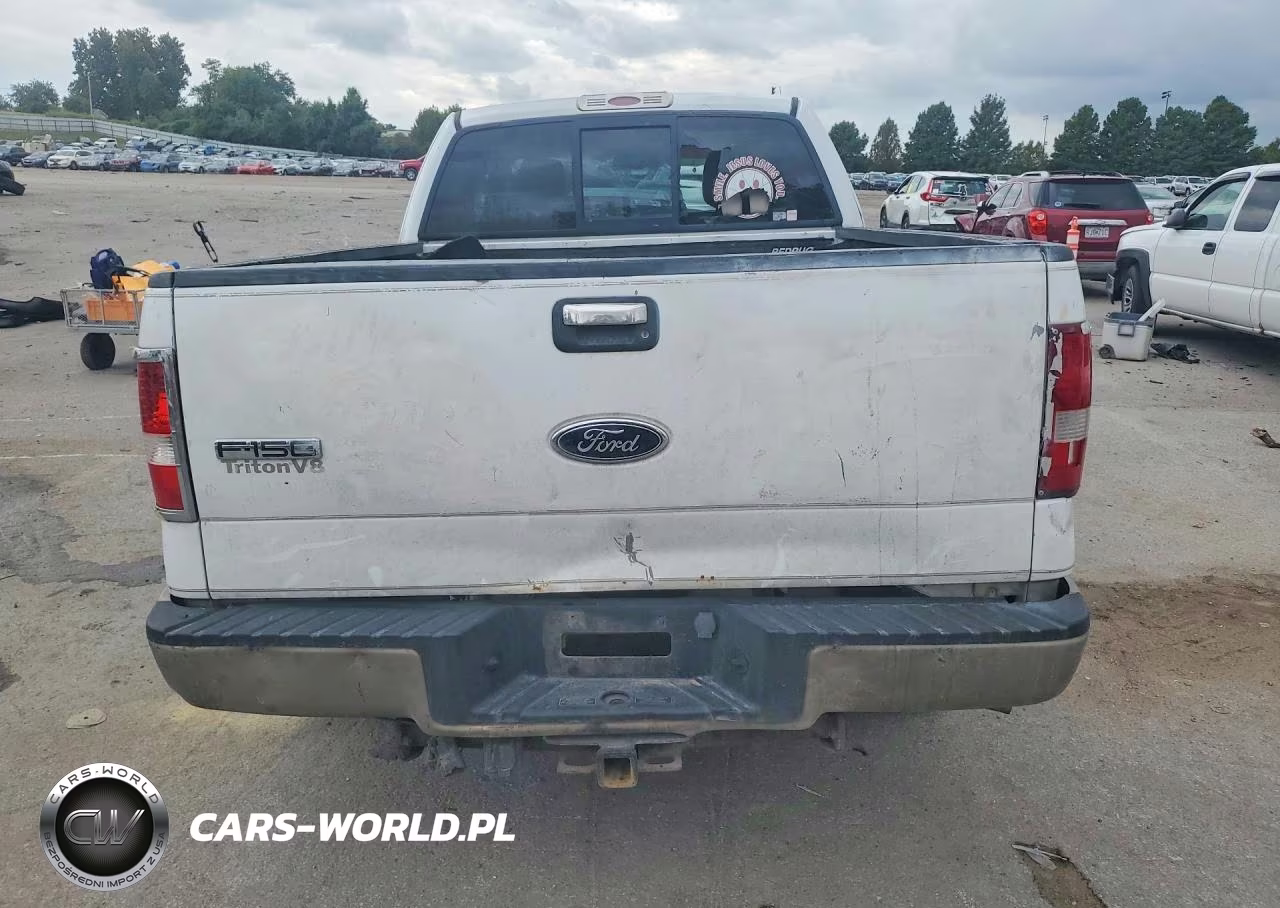 2004 Ford F150 VIN:1FTPX12504NC71173 - 6
