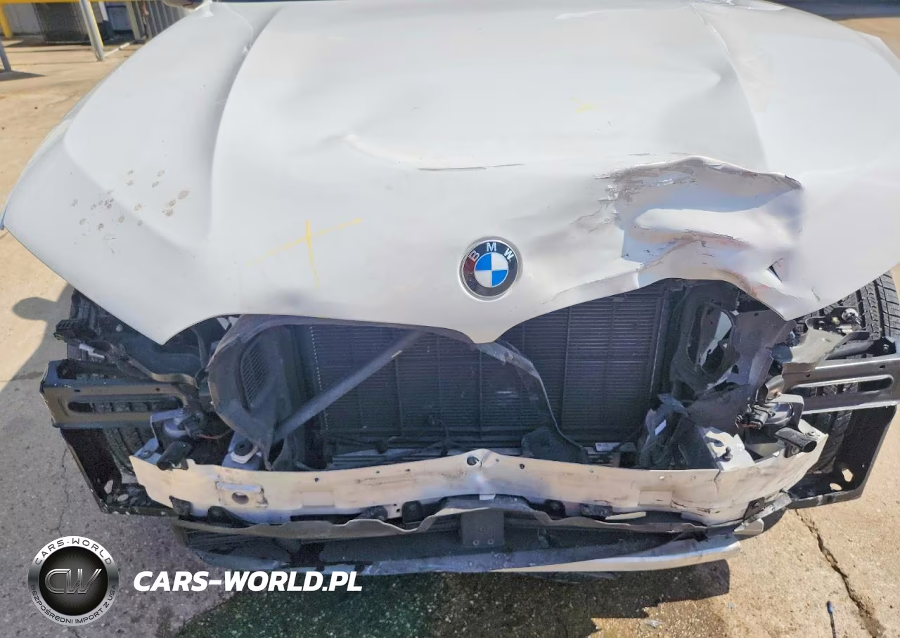2021 BMW X5 Sdrive 40I VIN:5UXCR4C07M9G73800 - 12
