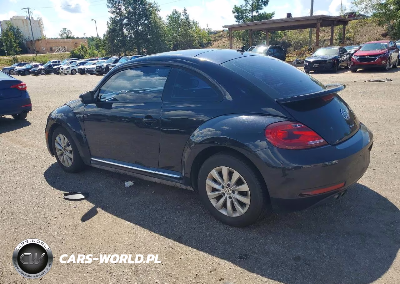 2019 Volkswagen Beetle S VIN:3VWFD7ATXKM707166 - 2