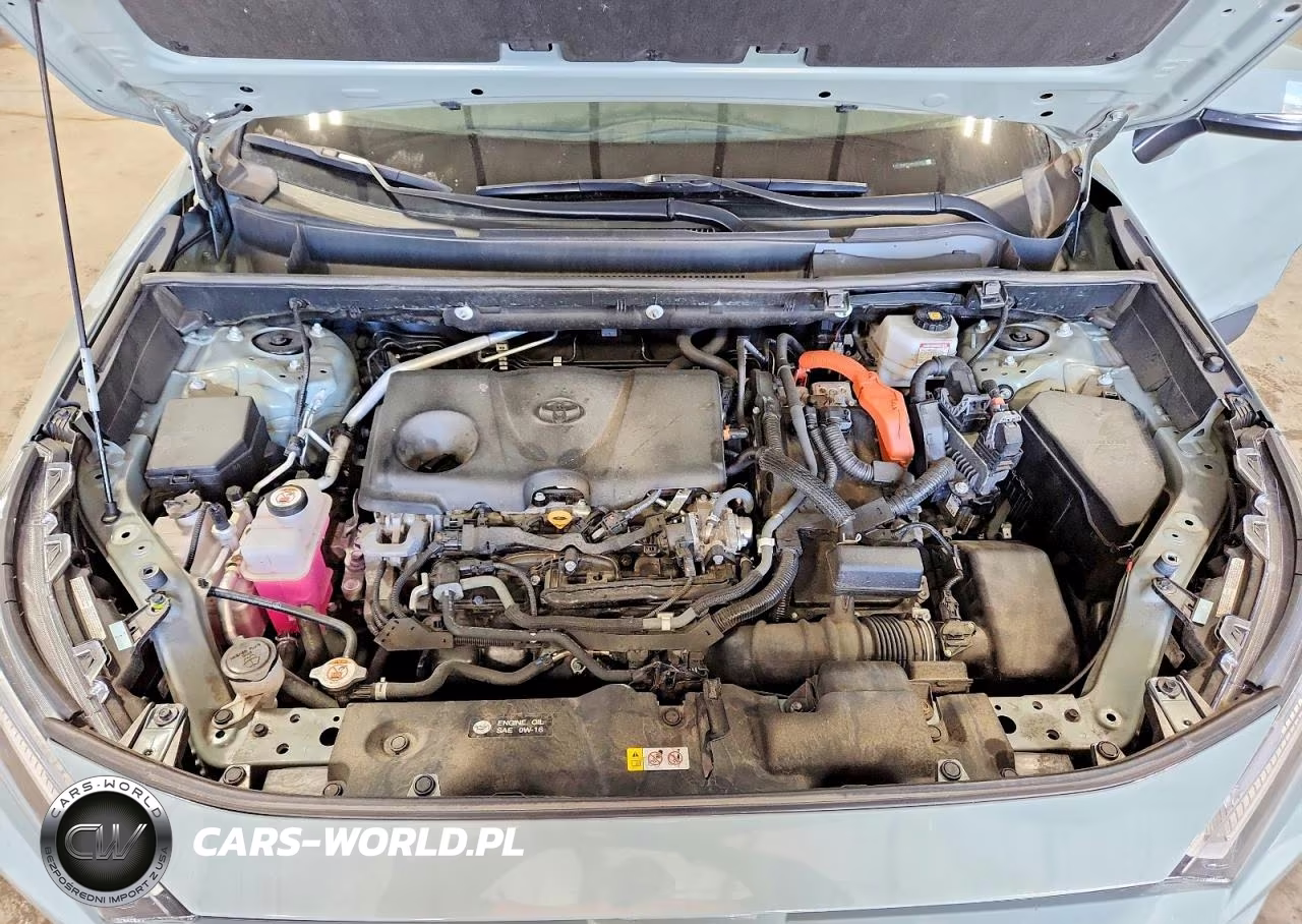 2022 Toyota Rav4 Xle VIN:4T3RWRFVXNU062652 - 12